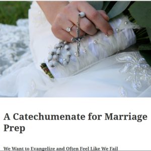 a catechumenate for marriage prep article