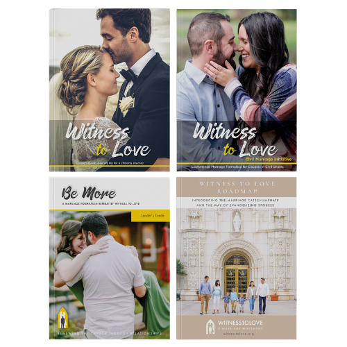Diocese Review Pack